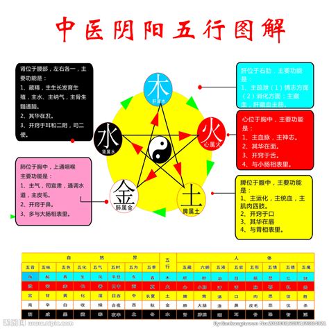 心 五行|中医